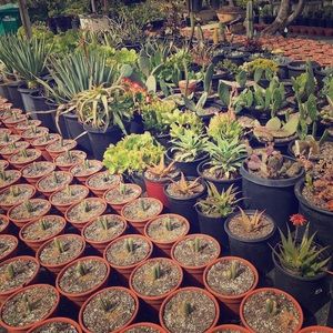 Meet your Posher, Millie